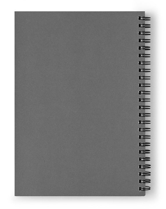 Staring At The Sun Not Recommended - Spiral Notebook